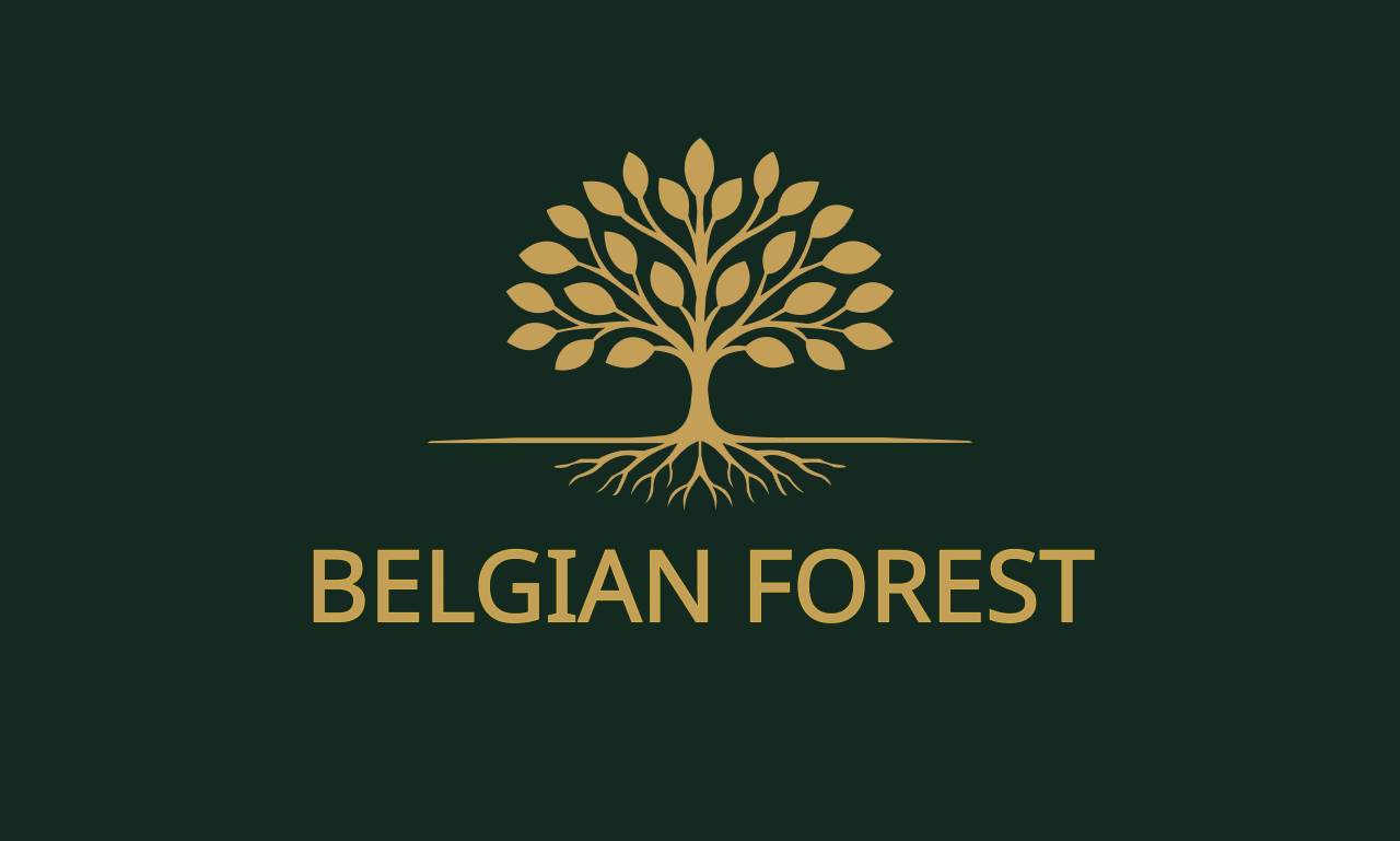 Selected Work | Logo & Website Portfolio | Anka Creative Studio